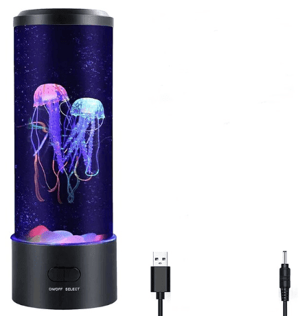 אקווריום מצלמה