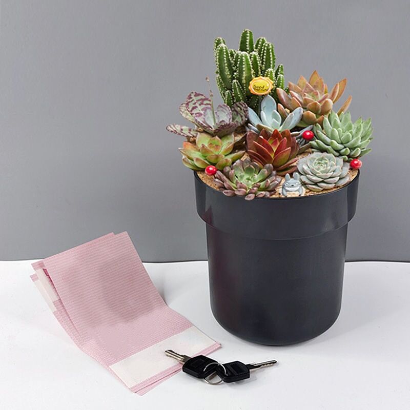 מקליט קול בעציץ כספת עם מנעול