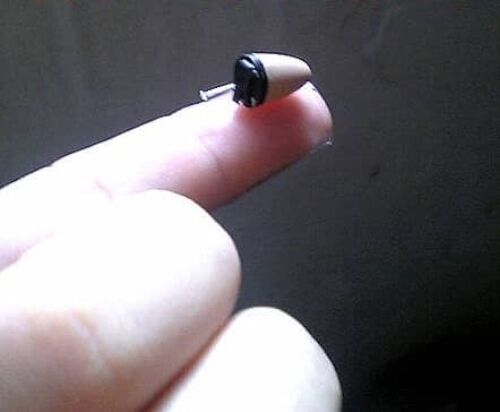 אוזניה נסתרת לאוזן