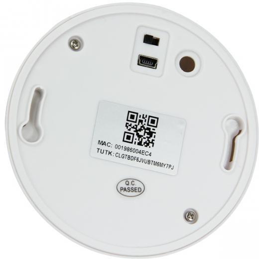 מצלמה נסתרת בגלאי עשן