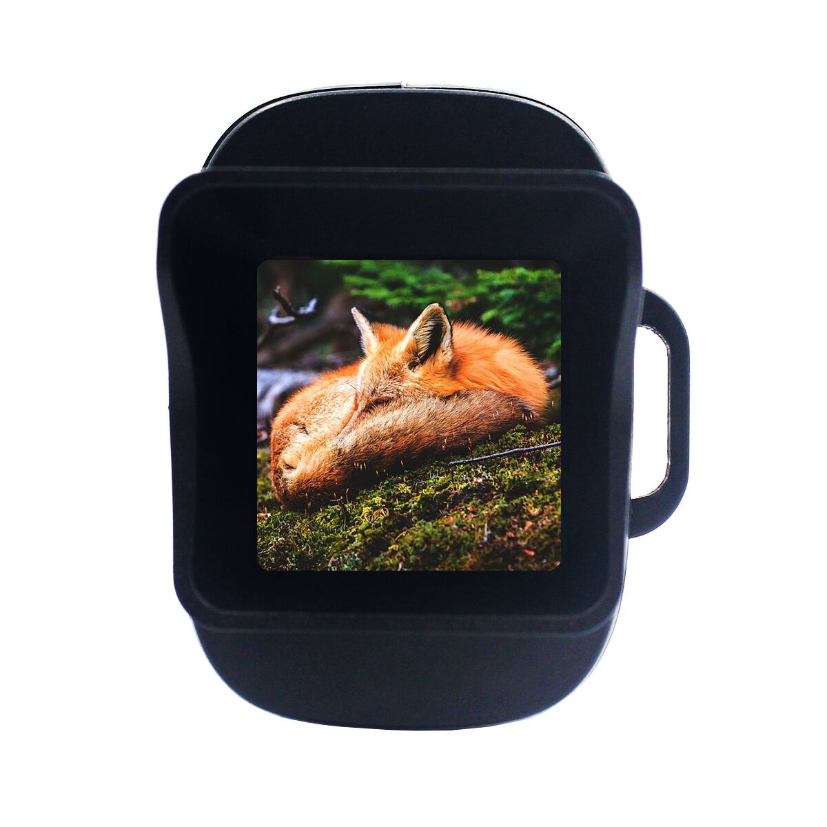 מצלמה ראיית לילה