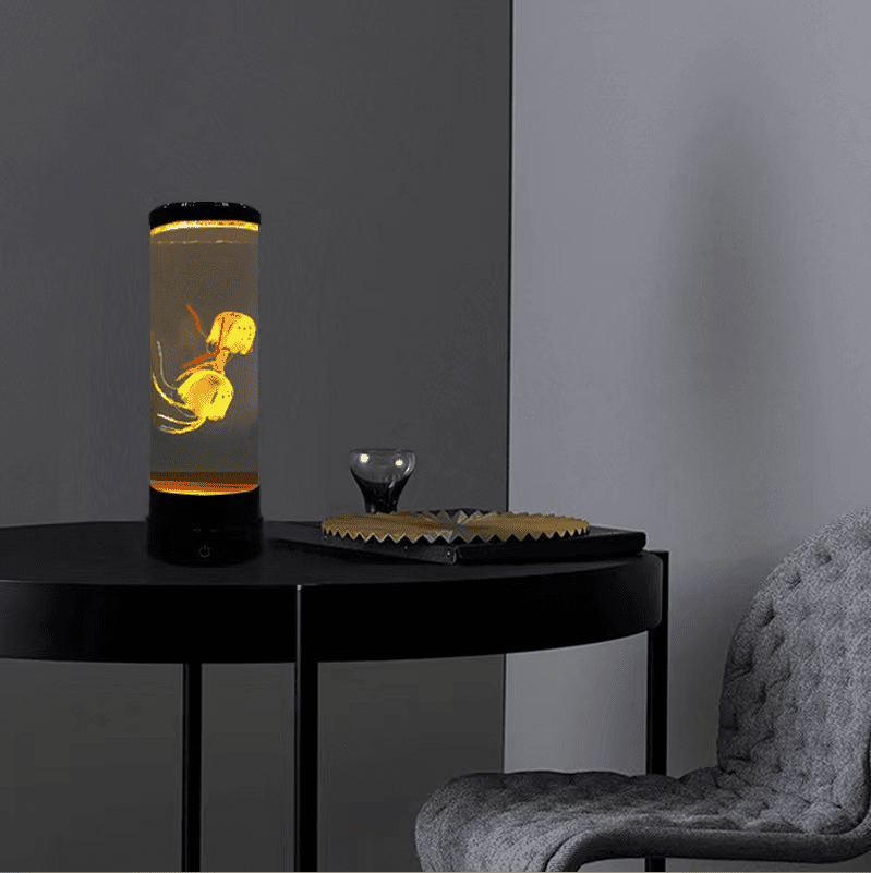 מצלמה נסתרת באקווריום קטן שולחני