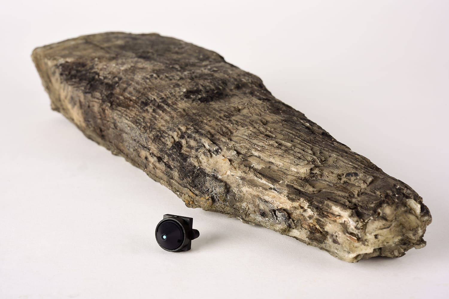 מצלמה נסתרת בבול עץ בשידור ישיר WIFI