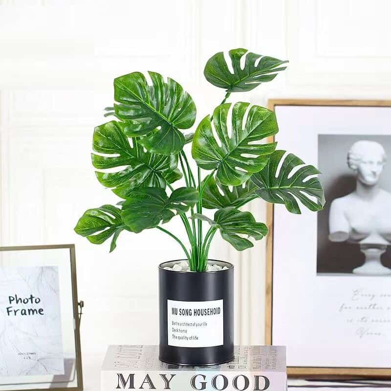 מכשיר האזנה והקלטה אלחוטי בעציץ