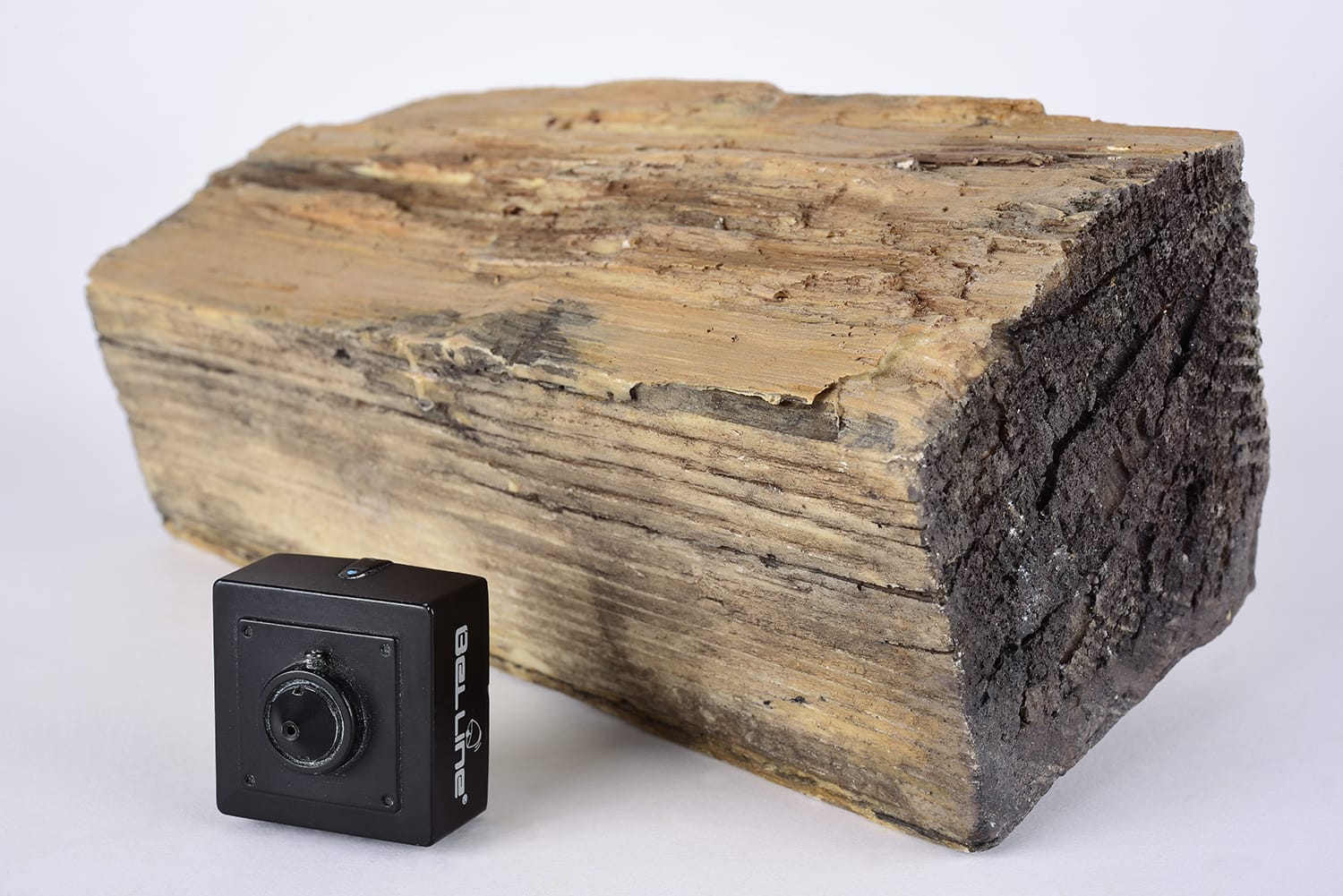 מצלמה נסתרת בבול עץ בשידור ישיר 4G